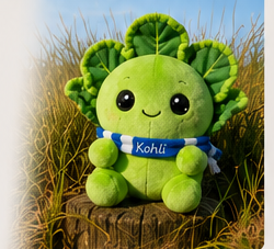 Kohli sitzt im Dünengras am Strand