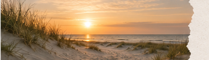 Sonnenuntergang über dem Meer, davor Dünengras